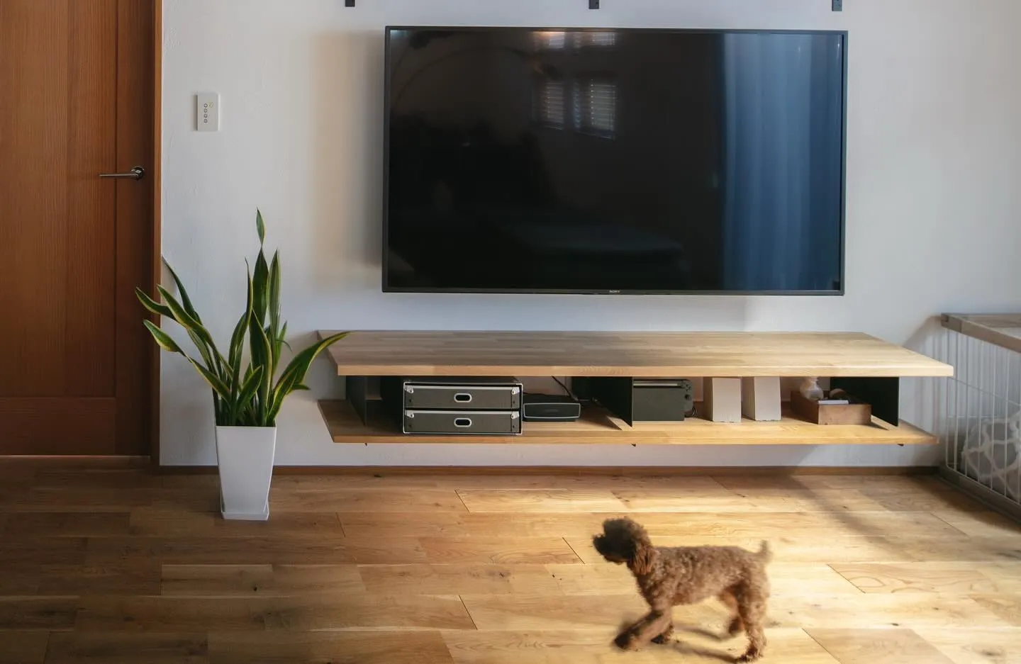 ワンコと暮らす家