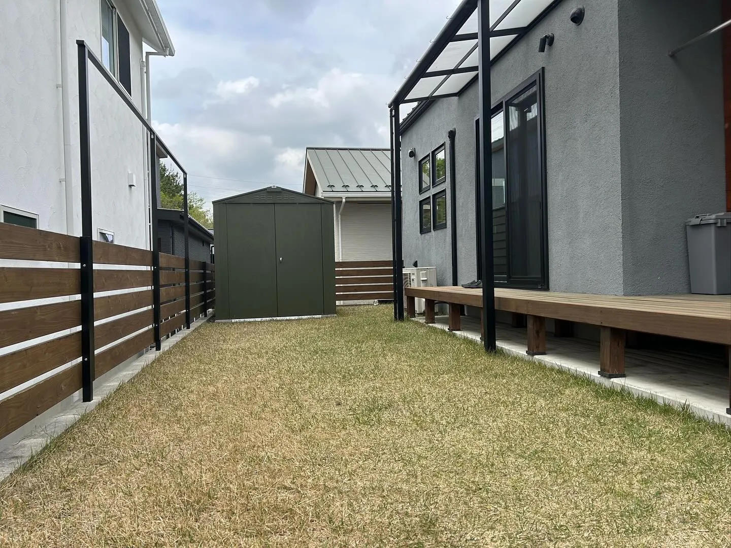 今年もアオダモに緑が戻ってきました